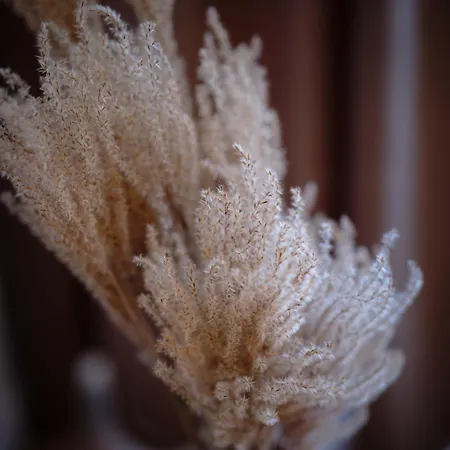 Prestige Luxury Koszalin