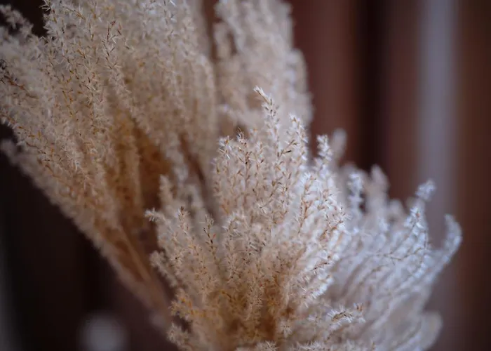 Prestige Luxury Koszalin